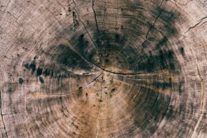 patrick fore cvfv hxr0 M unsplash