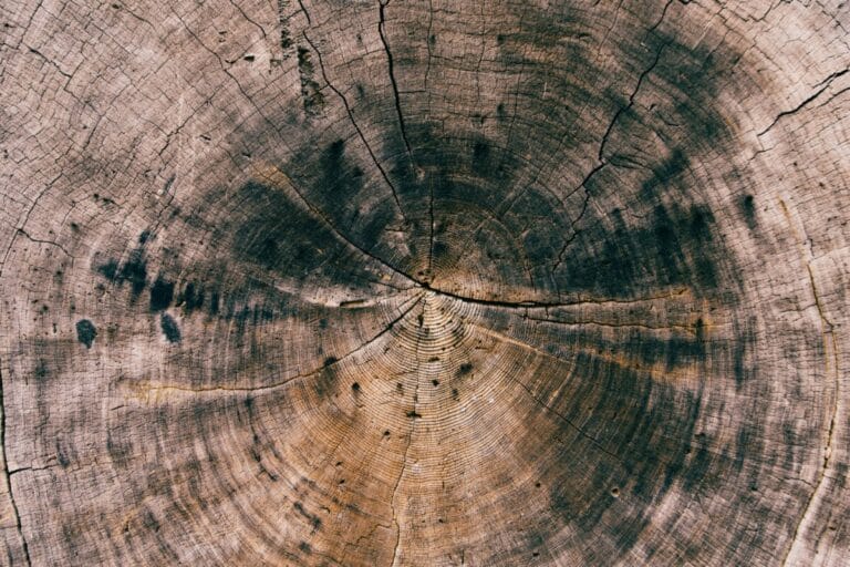 patrick fore cvfv hxr0 M unsplash