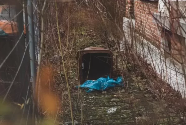 Jesteś artystą? A może artystycznym śmieciarzem?