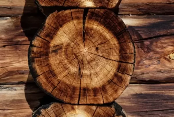 Ograniczanie pękania podczas DOMOWEGO suszenia drewna.