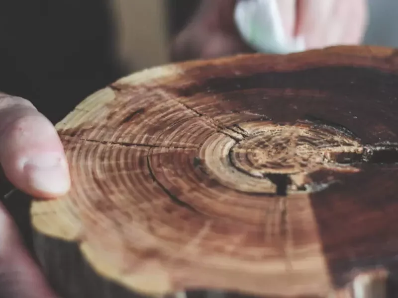 Naturalny wosk do drewna. Dlaczego jest tak istotny?
